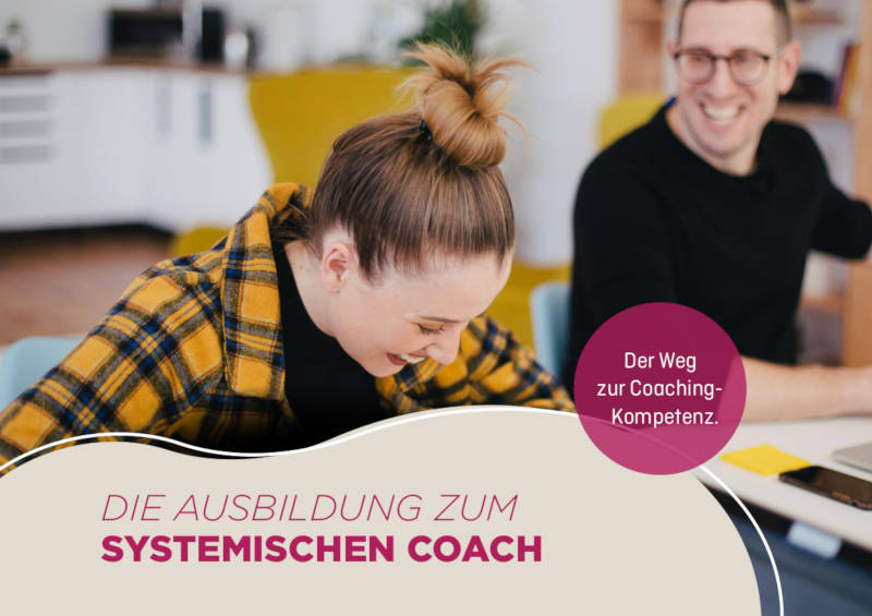 Institut Schäfer, Ausbildung zum Systemischen Coach